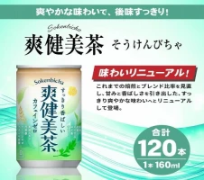 モリンガパウダー100g「本土最南端からのおくりもの」