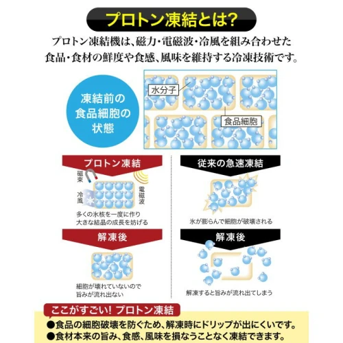 ☆中国禁輸の影響を受けています☆道水 北海道産プロトン帆立1kg 冷凍