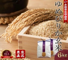 令和5年産米 特別栽培ササニシキ 玄米 「農薬7割減」・「無化学肥料