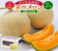 2024年5月～発送】【さわやかな味！ 】タカミメロン 2箱セット 甘い