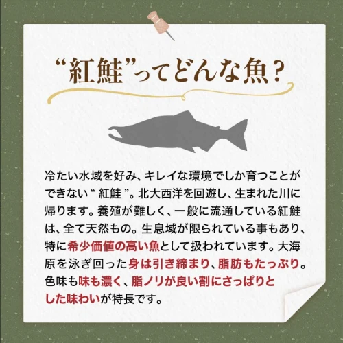 紅鮭切り身4切入り200g×20袋 北海道 釧路 サケ 紅鮭 切身 魚 魚介