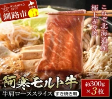 12回定期便】長崎和牛ロースステーキ（ハーフカット）計500g（4枚）×12