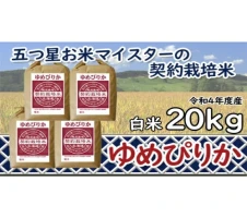 バーニャカウダ ソース 北海道産 野菜 ディップソース岩見沢市 岩見沢