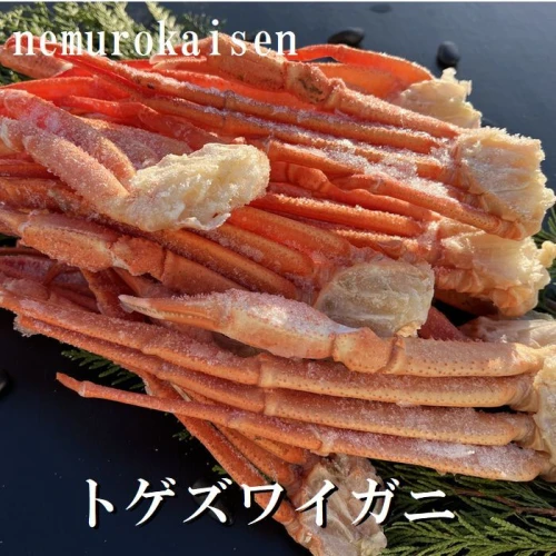 ラスト‼️早い者勝ち】ボイルトゲズワイガニ 1.5kg - 魚介類(加工食品)