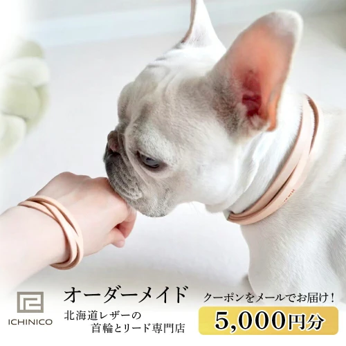 ICHINICOオンラインショップ お仕立て券5,000円分ペット 本革 首輪