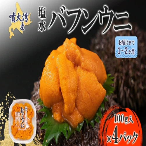 噴火湾産塩水バフンウニ100g×4 【 魚貝類 海鮮 海産物 つまみ お酒の