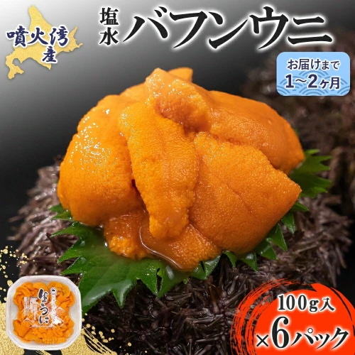 噴火湾産塩水バフンウニ100g×6 【 魚貝類 海の幸 海鮮 海産物 つまみ