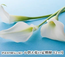 朝切りの季節のお花で作るオリジナル花束~87KOUBOU17~」フローリストが