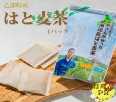 ふるさと納税｜ 八女茶 煎茶ペットボトル 500ml×24本 株式会社親和園