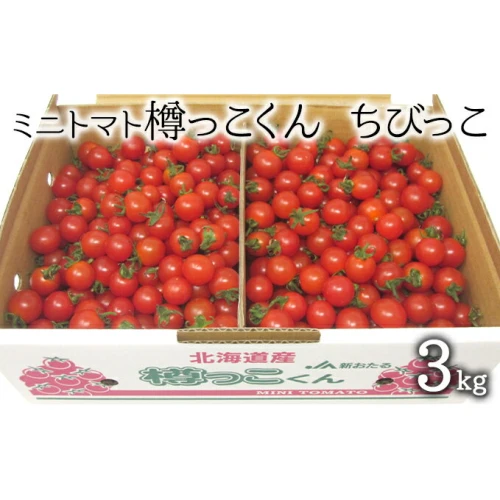 【茨城県鉾田市産】ミニトマト「サンチュリーピュア」　３kg