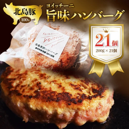 ふるさと納税｜ 北島豚100％使用！ヨイッチーニ旨味ハンバーグ200g×20