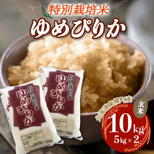 特別栽培米 令和5年産 ゆめぴりか（玄米）5kg×2袋 2023年10月発送開始