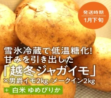 12回定期便】東川米 「ゆめぴりか」無洗米5kg+水セット