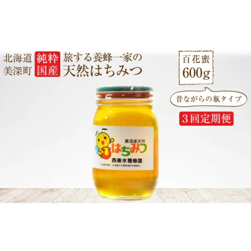 北海道美深産 天然はちみつ600g（瓶） 3回定期便 【定期便・蜂蜜