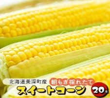 北海道美深産 天然はちみつ 5種から選べる300gチューブボトル×2