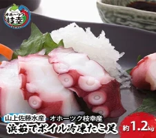 オホーツク枝幸の利尻昆布 50g×6パック 北海道 魚介 こんぶ 鍋 【魚