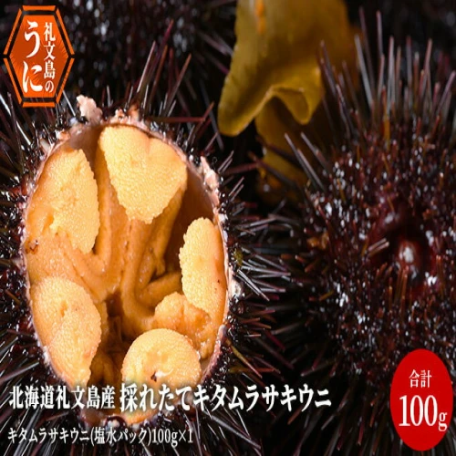 北海道 礼文島産 採れたて キタムラサキウニ 塩水パック 100g×1 生うに