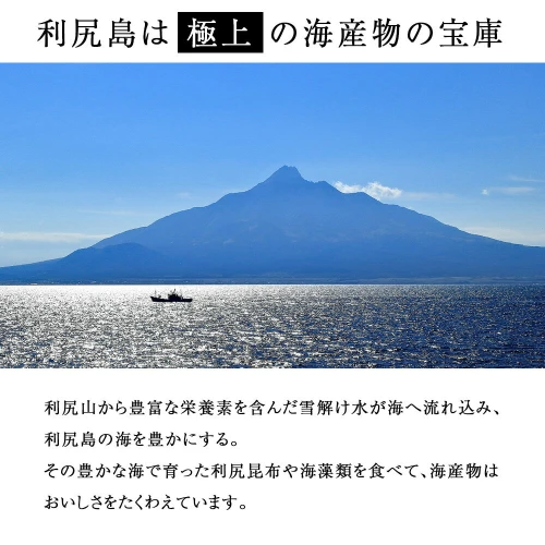 利尻島産 開きニシン3枚＜利尻漁業協同組合＞北海道ふるさと納税 利尻