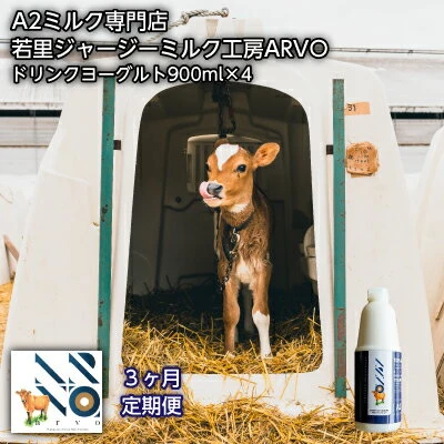 ふるさと納税 北海道 佐呂間町 【3ヶ月定期便】ジャージー牛 A2ミルク