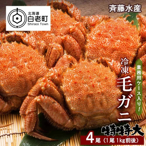 特特大サイズ！冷凍毛がに約1kg×2尾 【斉藤水産】 毛がに 毛ガニ 毛蟹