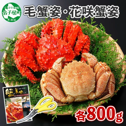 1308. カニ 蟹 毛蟹 花咲ガニ 食べ比べ足 800g 専用ハサミ付丸ごと 脚