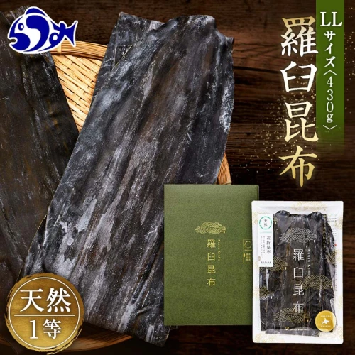 ふるさと納税｜ 羅臼昆布 1等 430g(LLサイズ430g×1個) 北海道 知床