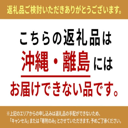 ネックレス「一粒の大きなりんご」（Long） 【 アクセサリー