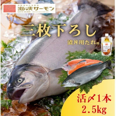 2024年5月上旬発送】海峡サーモン船上活〆2.5kg1本(冷蔵)【配送不可