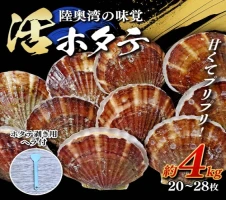 定期便＞特別栽培米～観音米～ 10kg×6ヶ月連続 （令和5年産