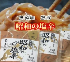 塩辛 エコパック 昭和の塩辛 100g×5袋珍味 無添加 海産物 海鮮 いか