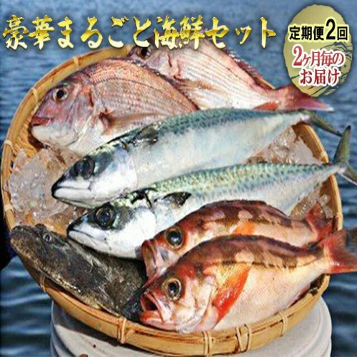 豪華まるごと海鮮セット定期便2回お届け 【定期便・ 魚介類 お楽しみ