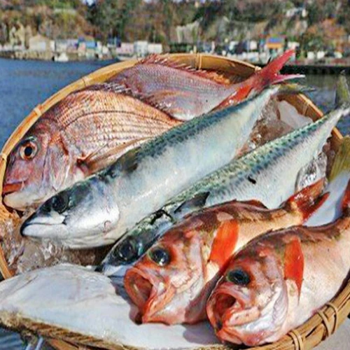 豪華まるごと海鮮セット定期便2回お届け 【定期便・ 魚介類 お楽しみ