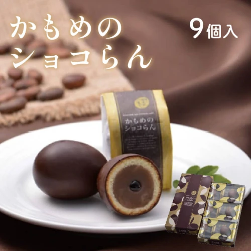 かもめのショコらん9個入 お菓子 銘菓 大船渡 岩手県 チョコレート