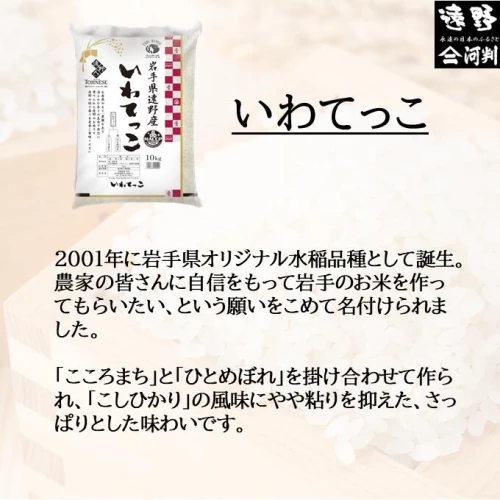 定期便 3回 新米 令和5年産 遠野産 「 いわてっこ 」5kg 五つ星 お米