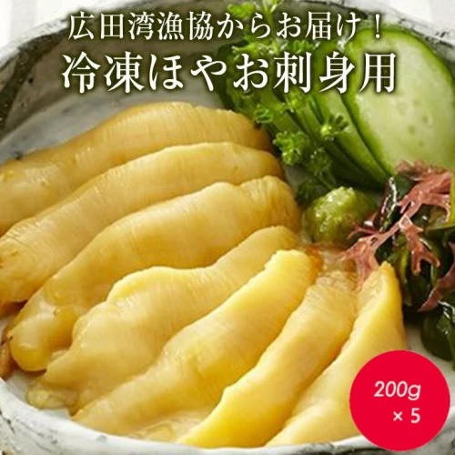 冷凍 ほや お刺身 用（200g×5パック）広田湾漁協からお届け！新鮮 珍味
