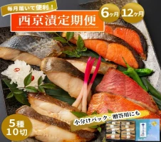 三陸 塩うに100g 毎月お届け便 12ヶ月 定期便 岩手県産 三陸産 釜石