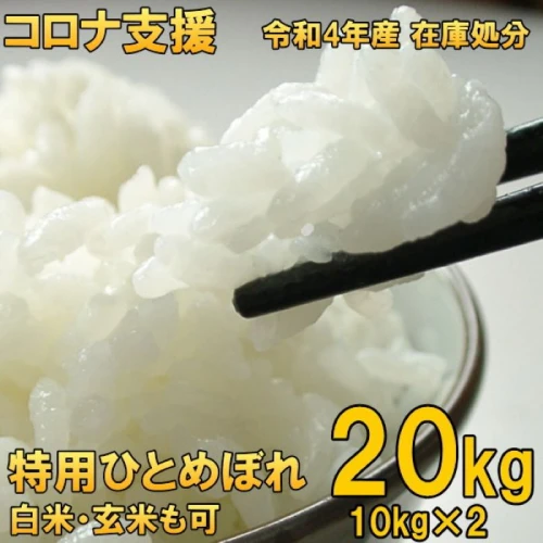 ふるさと納税 【玄米20kg】米 コロナ支援 岩手県奥州市産 特用