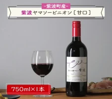 紫波町産りんごを使ったホップサイダー（330ml） 6本セット（AY001）