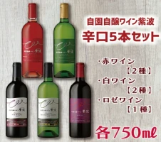 紫波町産りんごを使ったホップサイダー（330ml） 6本セット（AY001）