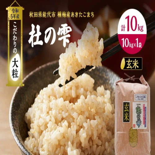 秋田県能代市産！ 玄米 あきたこまち 10kg - 米・雑穀・粉類