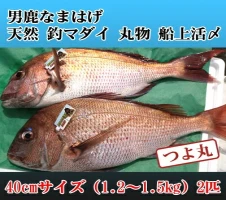 桃鯛 お刺身セット 1尾分【配達不可：離島】 【 魚貝類 たい タイ 1匹