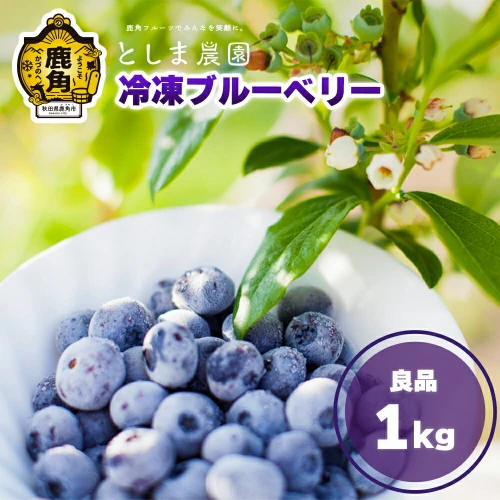 冷凍ブルーベリー良品 1kg ( サイズMIX ) 旬 県産ブルーベリー 国産