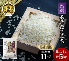 しそ巻あんず《 お徳用 》 1kg 手作り 漬物 おつまみ おかず 県産 国産