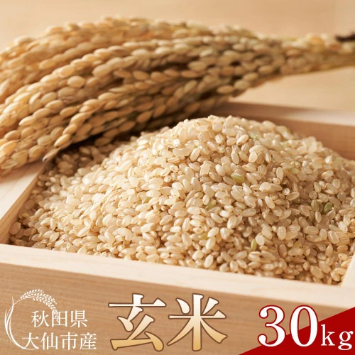 人気お得新米　令和三年産　秋田県産　あきたこまち　玄米　30kg 米/穀物