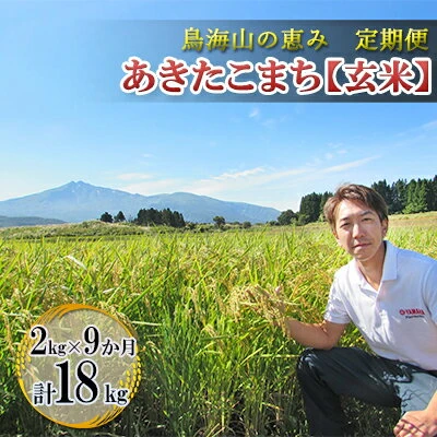 定期便》2kg×9ヶ月 鳥海山の恵み！秋田県産 あきたこまち ひの米（玄米