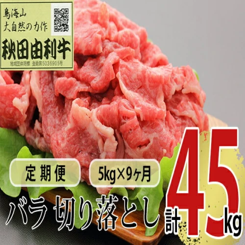 定期便》9ヶ月連続 秋田由利牛 バラ切り落とし 5kg（1kg×5パック