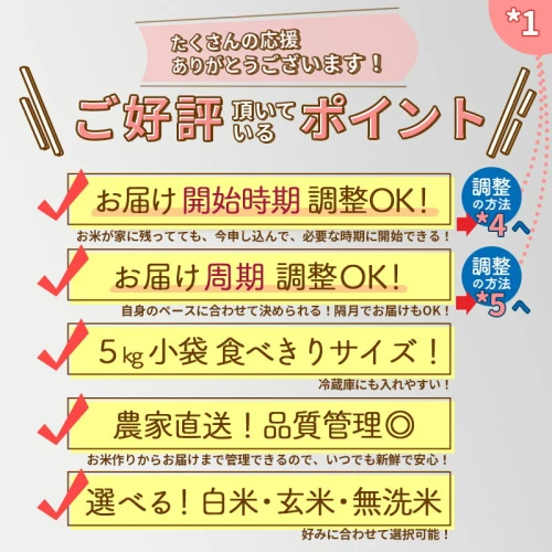 白米/玄米/無洗米 選べる】＜新米＞《定期便11ヶ月》秋田県産