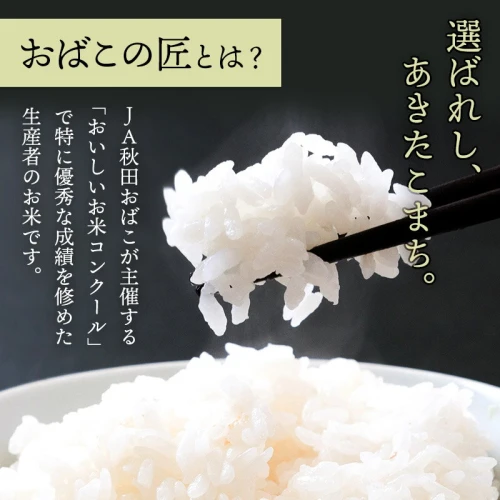 白米/玄米 選べる】《定期便7ヶ月》令和5年産 おばこの匠 10kg（5kg×2