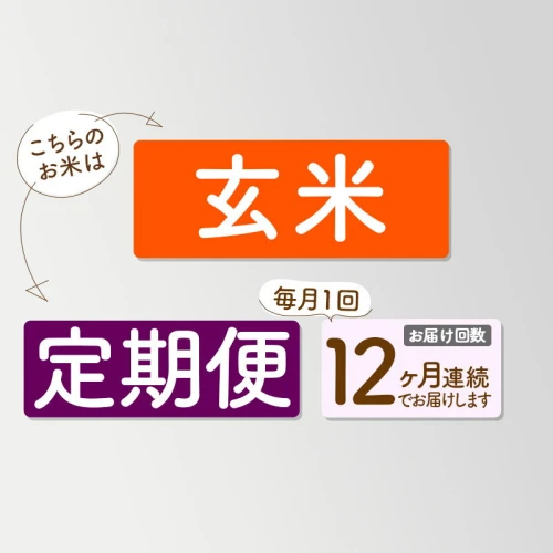 定期便12ヶ月】新米 令和5年産 あきたこまち 秋田県産「仙人米」玄米