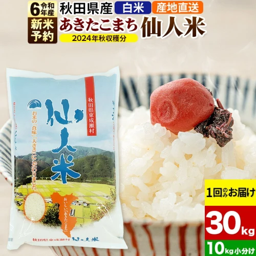 新米 令和5年産 あきたこまち 秋田県産「仙人米」白米 30kg（10kg×3袋）